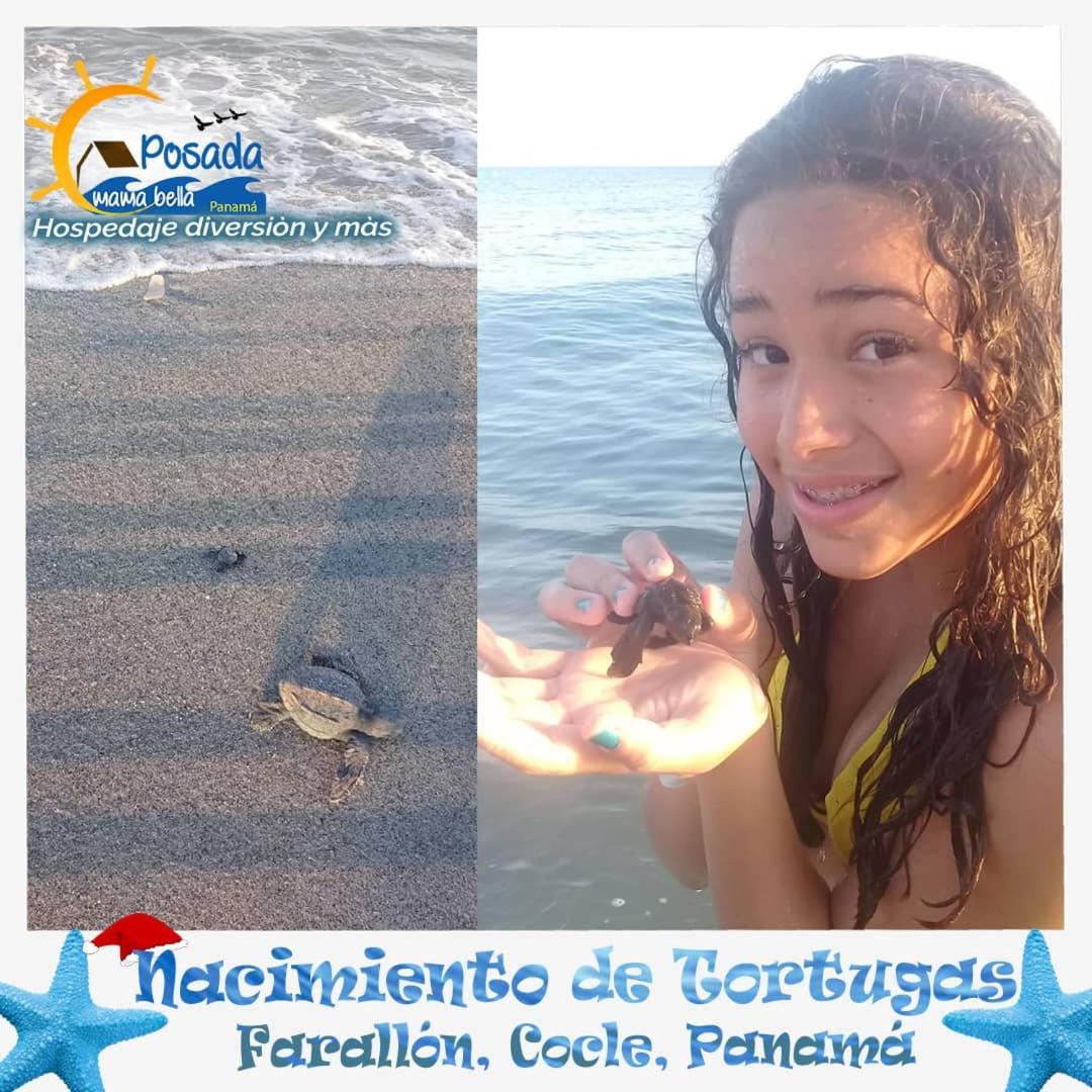 Posada Mama Bella Playa Blanca  Eksteriør billede